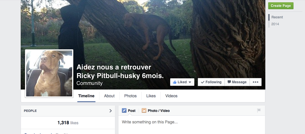 Ricky retrouvé sain et sauf