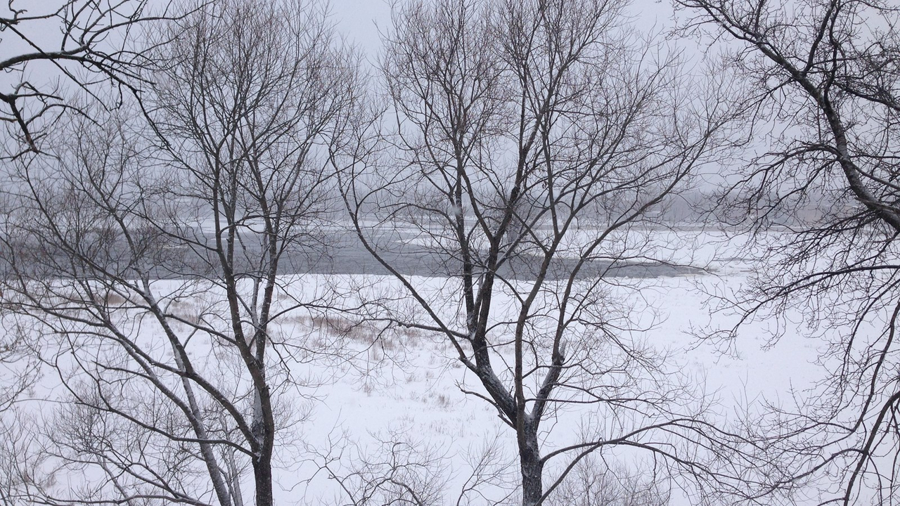 Un ruisseau sur la rivière des Prairies