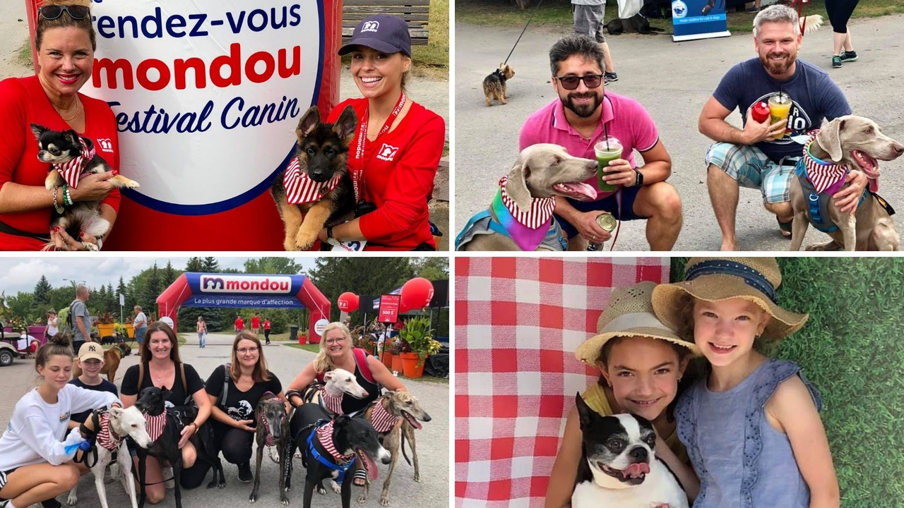 Un succès retentissant pour la 2e édition du Rendez-vous Mondou - Festival Canin