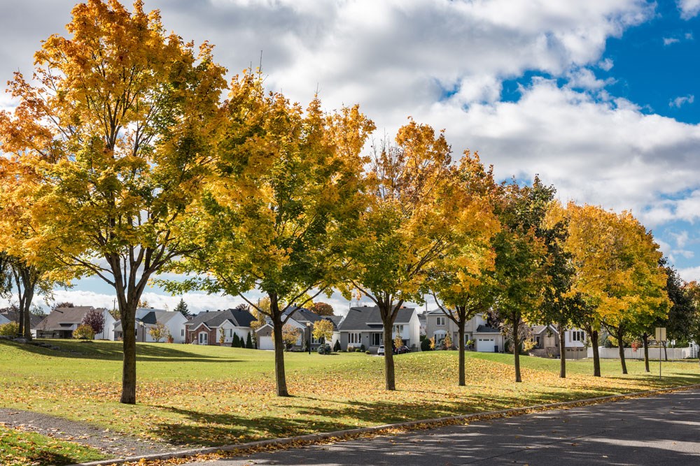 Laval remplacera 3000 m² d’asphalte par 7200 végétaux