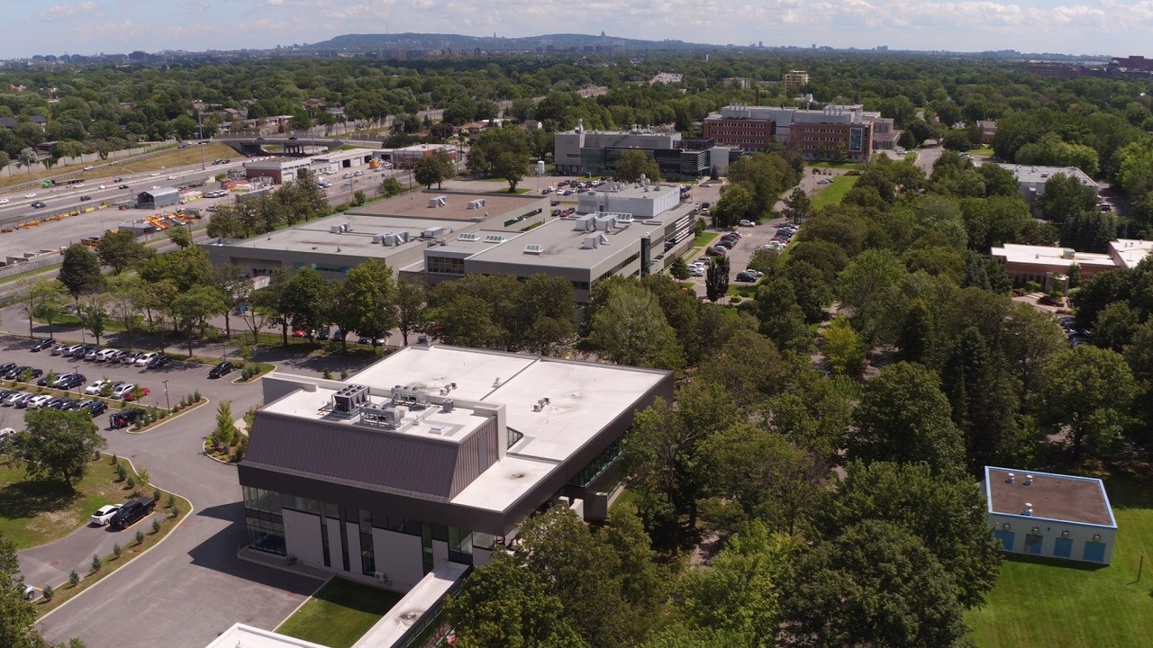 Les 13 entreprises de la Cité de la Biotech proviennent de différents secteurs du domaine biopharmaceutique. Ce sont des entreprises de toutes tailles, des compagnies internationales bien établies jusqu’aux start ups, dont certaines sont en incubation au Centre québécois d’innovation en biotechnologie (CQIB).