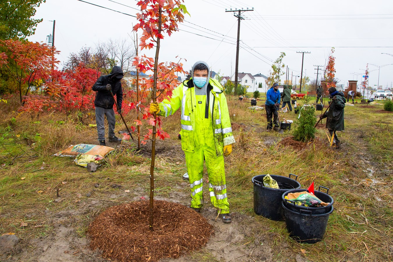 D’ici la fin de l’automne, plus de 34 000 arbres et 16 000 arbustes auront été plantés à Laval.