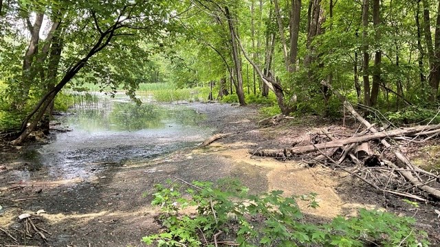 Laval Citoyens – Équipe Michel Poissant dévoile un projet de parc linéaire