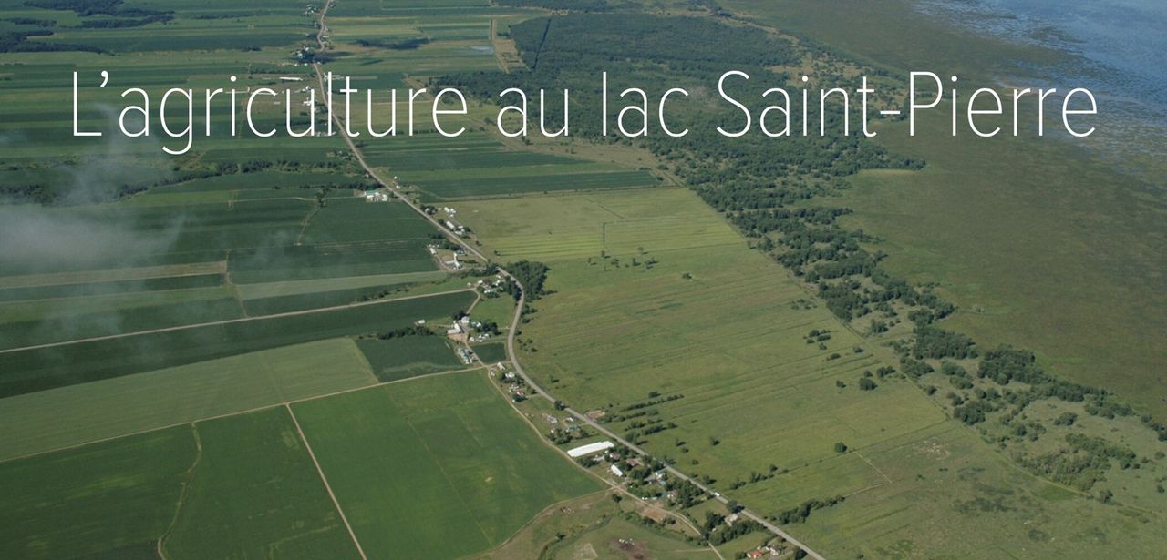 La cohabitation agriculture-faune en zone littorale du lac Saint-Pierre, en voie vers une réussite!