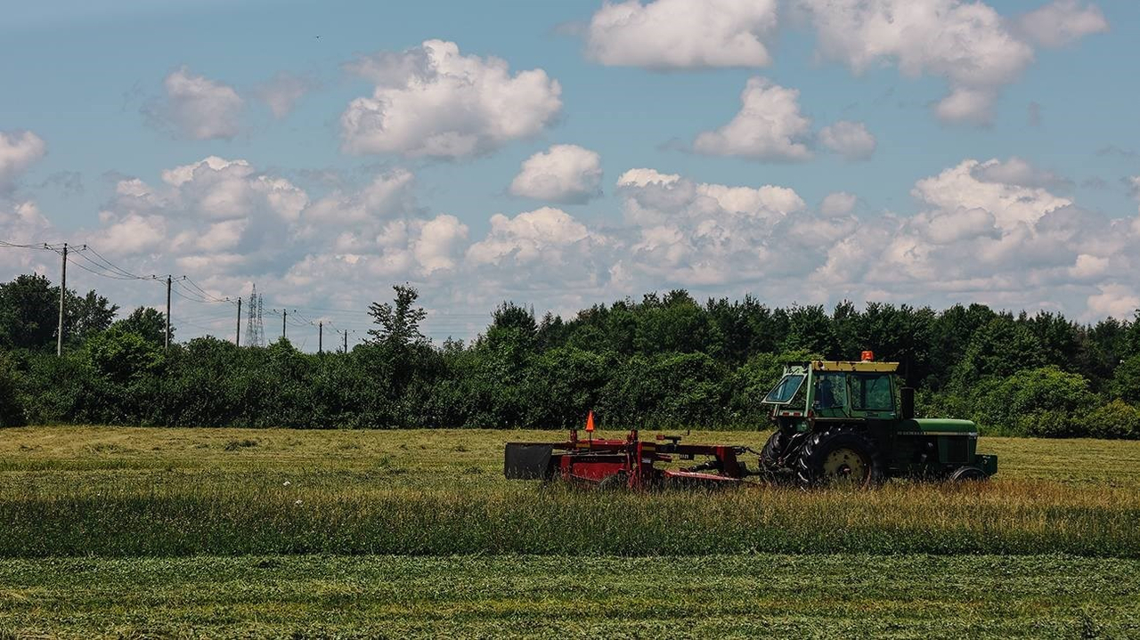 Les Producteurs de grains du Québec interpellent le gouvernement fédéral en regard des défis de la chaîne d’approvisionnement