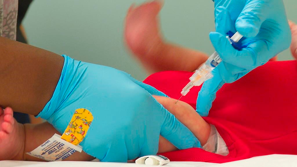 Zona: vaccination gratuite le mois prochain aux personnes jugées plus vulnérables