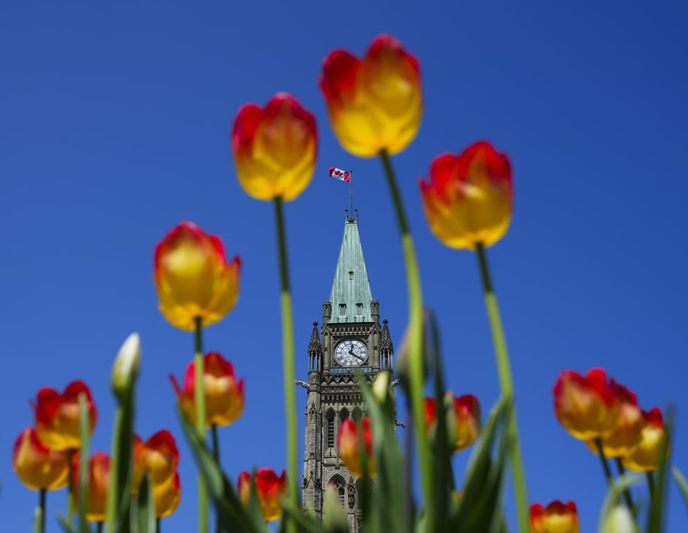 Des experts doutent de l'efficacité de la stratégie du Canada pour une économie verte