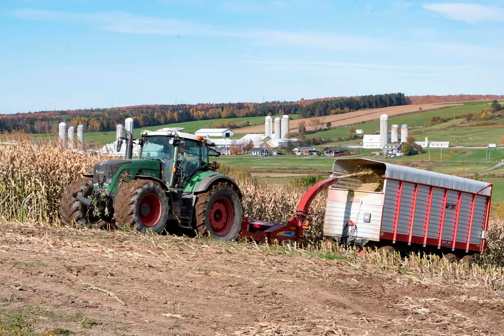 Le territoire agricole s'étiole au profit du développement et doit être mieux protégé