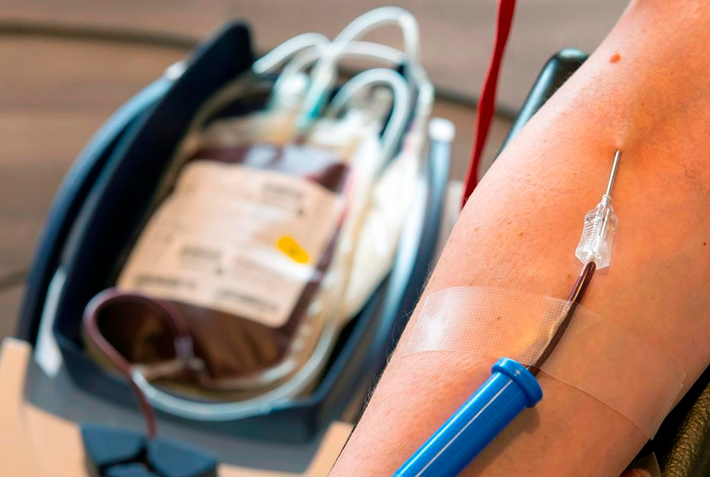 Dons de sang: assouplissements par Héma-Québec pour attirer de nouveaux donneurs