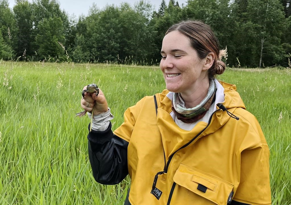 Une chercheuse de UBC veut faire la lumière sur la translocation d'atténuation