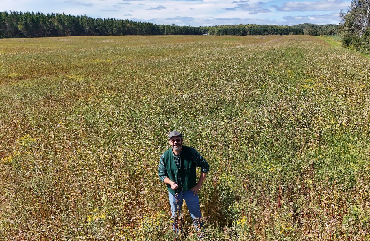 Un projet de parc éolien privé divise la population en Mauricie