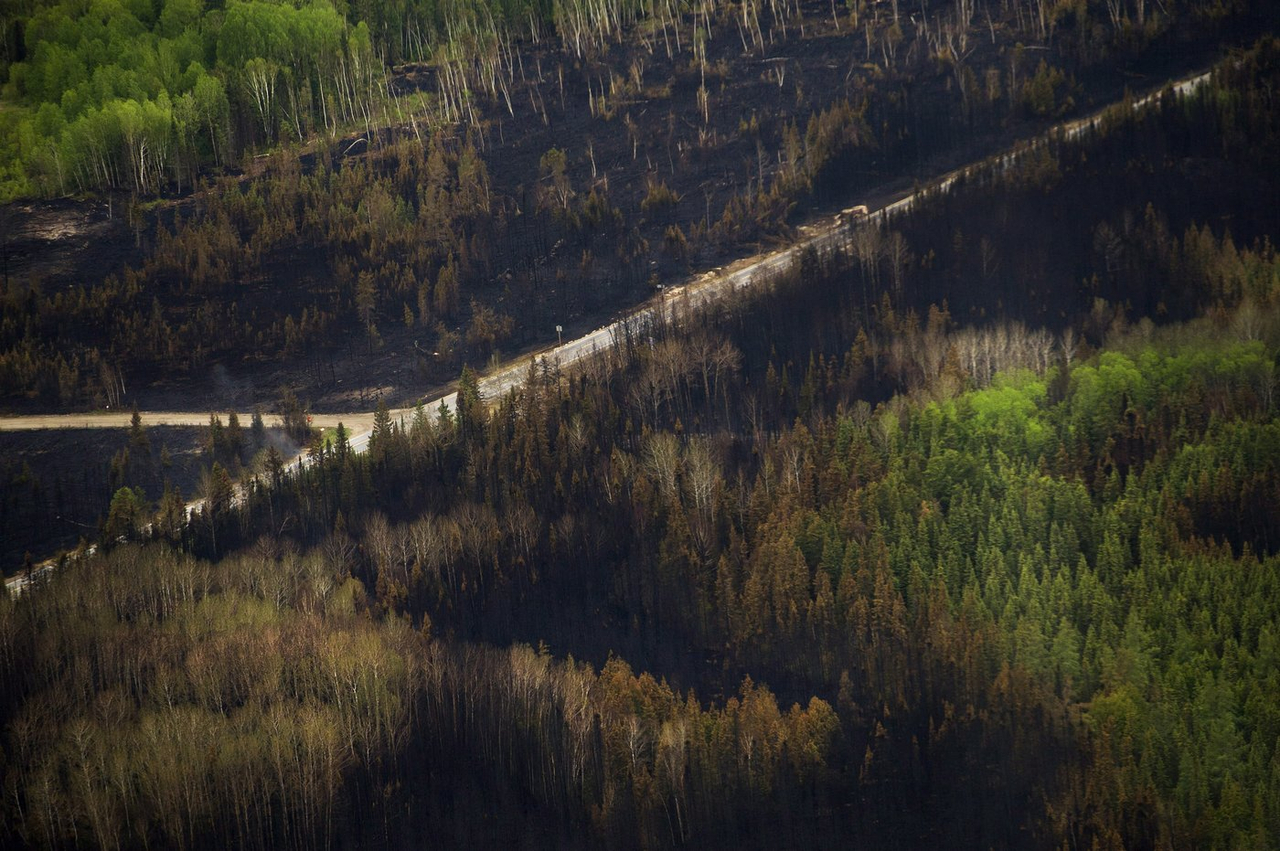 Le climat canadien de plus en plus propice aux incendies de forêt graves
