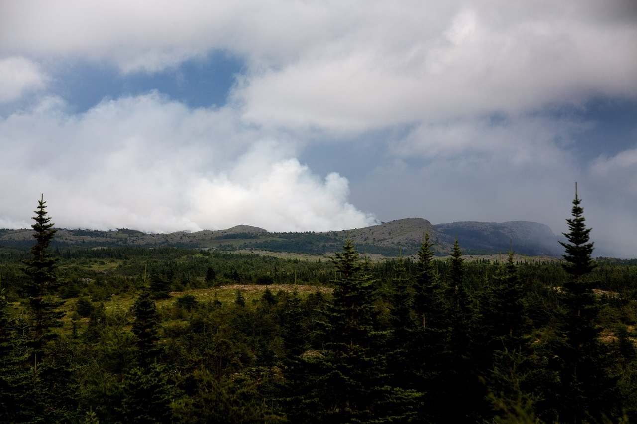 Feux de forêt: Terre-Neuve-et-Labrador constate les dégâts