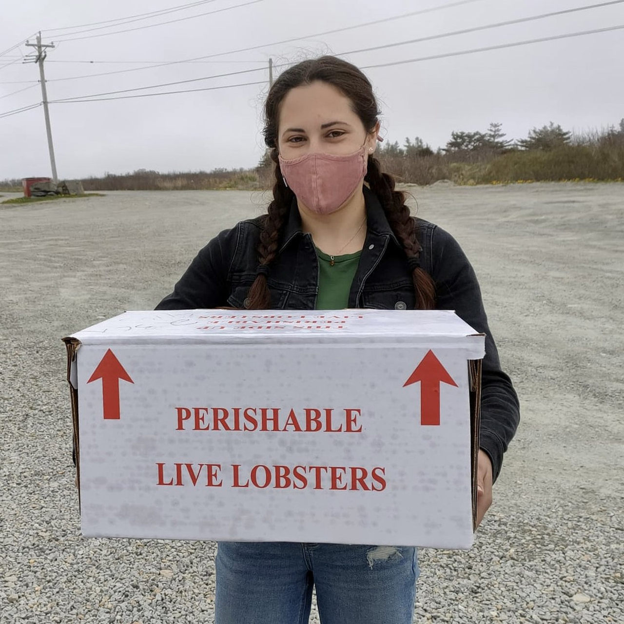 Des microplastiques détectés dans les homards de la Nouvelle-Écosse