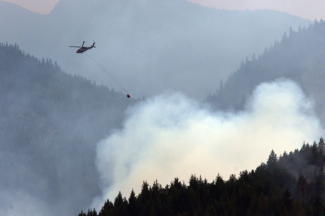 Les particules PM2,5 provoqueraient une réponse immunitaire