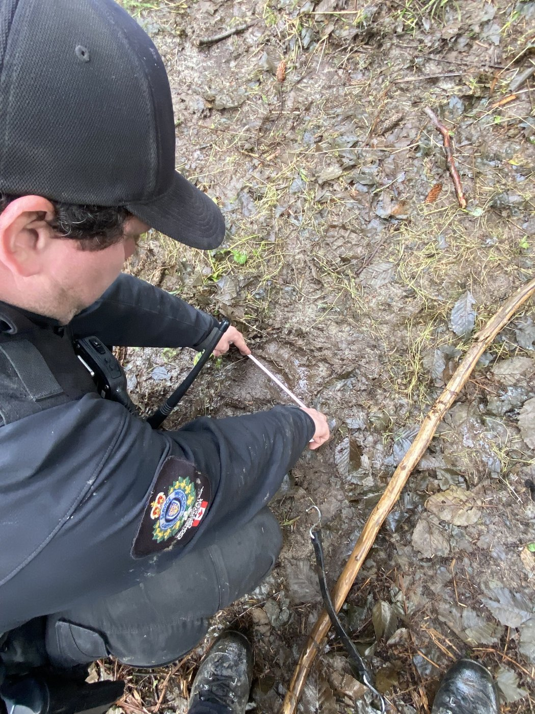 Fin des recherches pour trouver l'ours impliqué dans une attaque en C.-B.