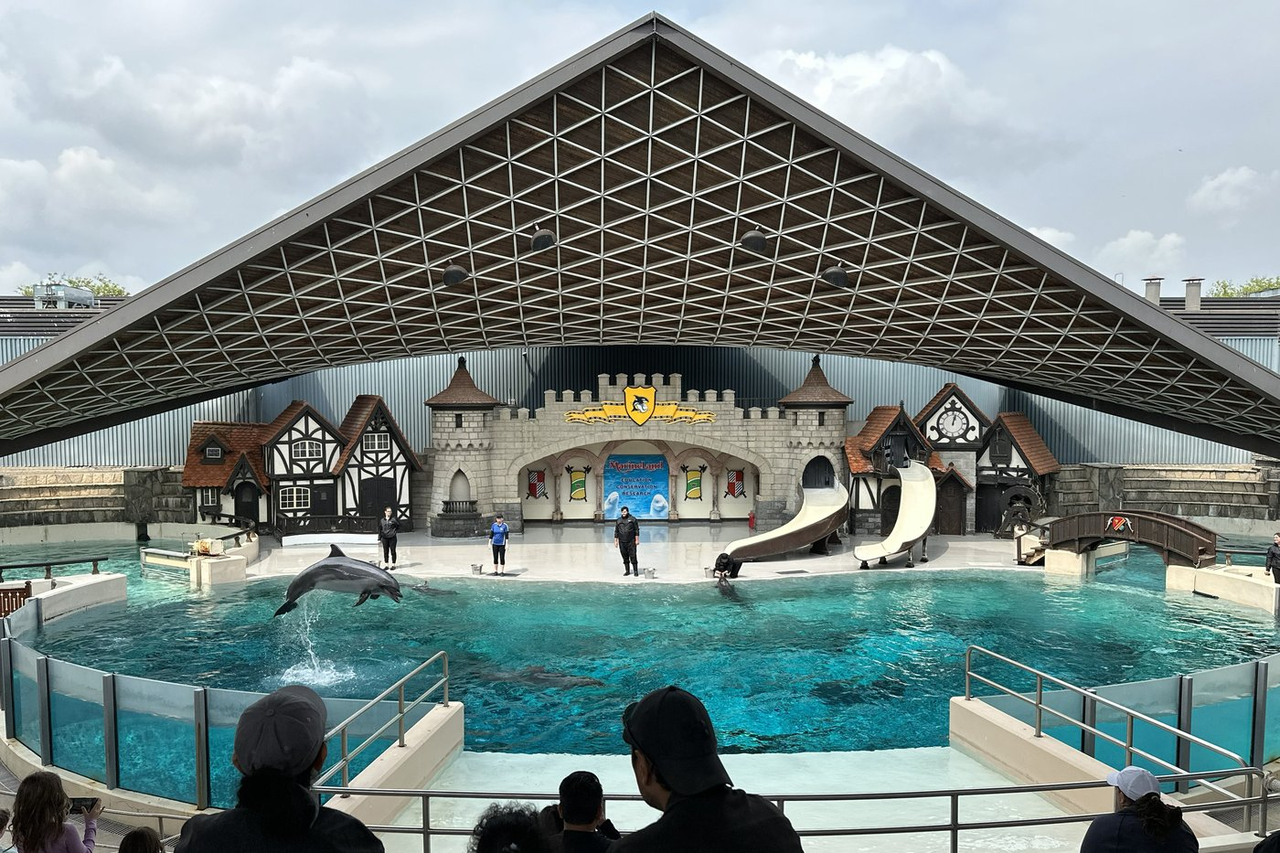 La ministre approuve le plan de transfert des baleines de Marineland aux États-Unis