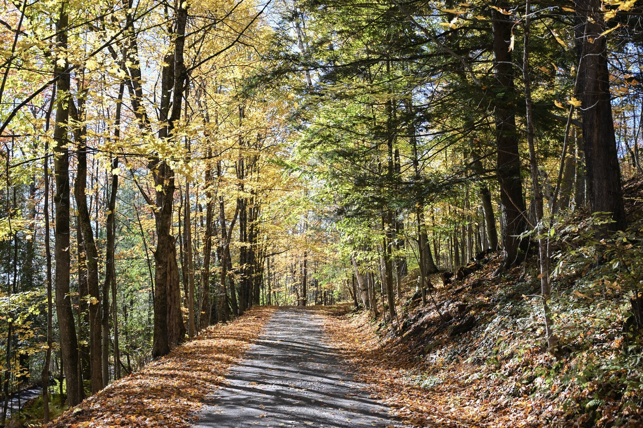 Le président du 47e Salon de la forêt fait preuve d'optimisme sur l'avenir