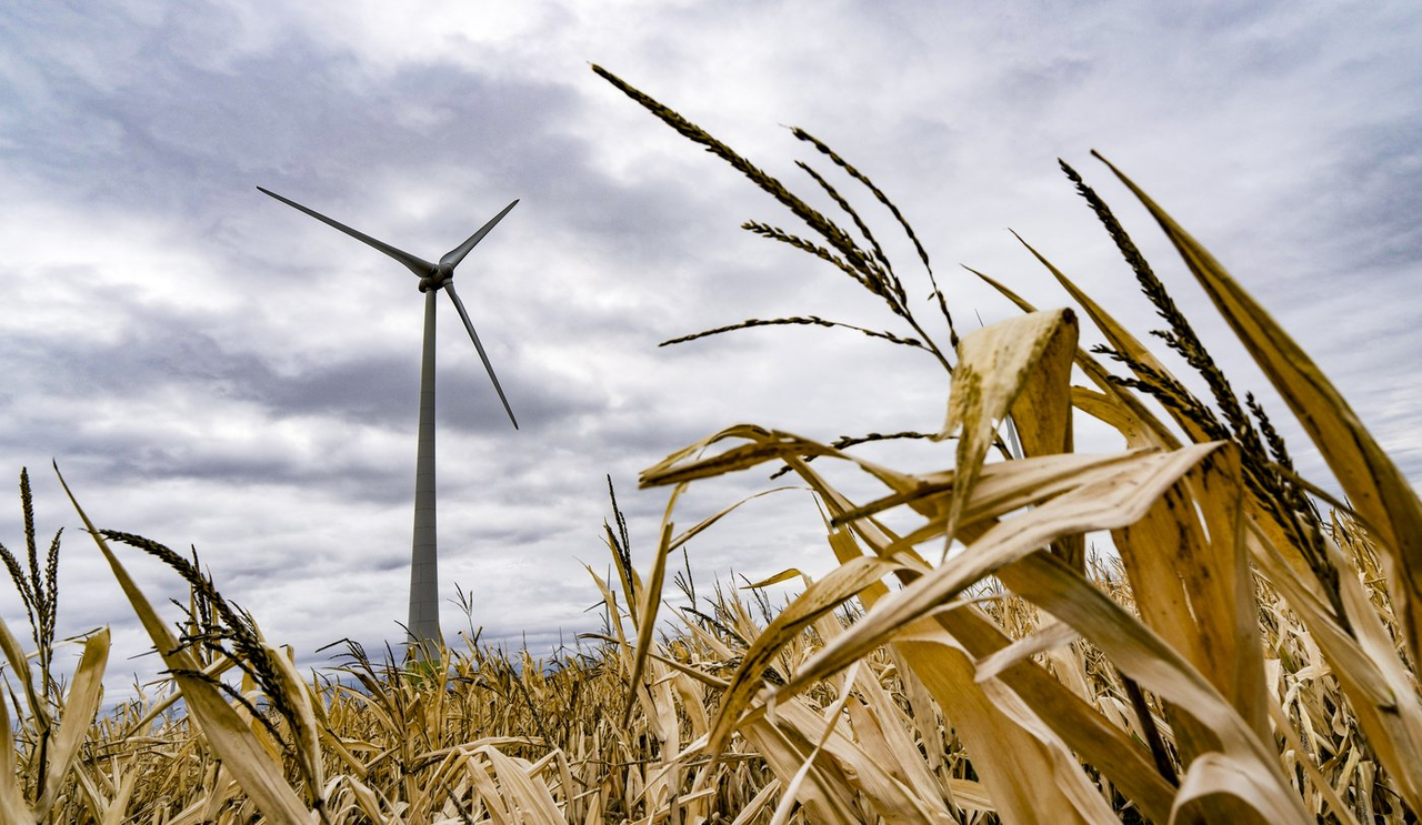 Des agriculteurs demandent à Hydro-Québec de suspendre son appel d'offres éolien