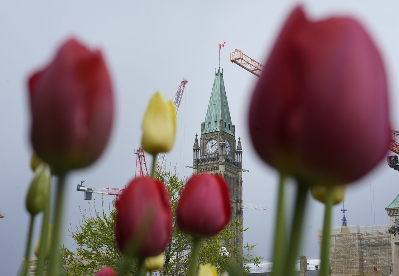 La loi sur la frontière va faire l'objet d'un recours constitutionnel