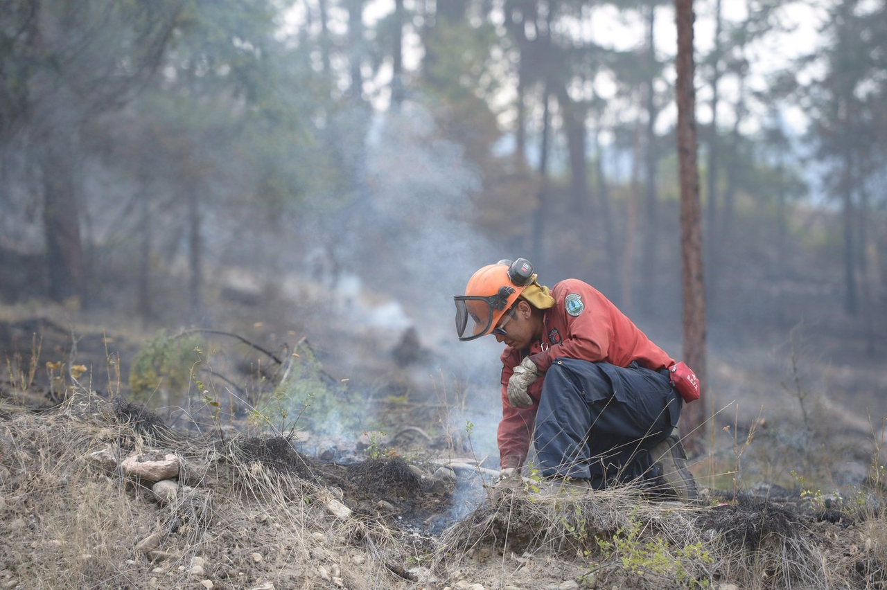 Un feu de forêt entraîne des évacuations à West Kelowna, en Colombie-Britannique