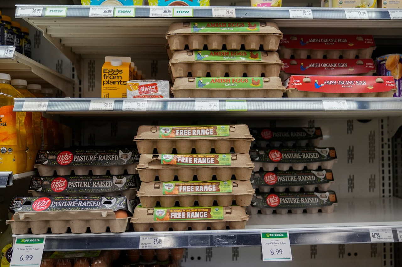 Première étude canadienne consacrée à une rare allergie alimentaire chez les enfants