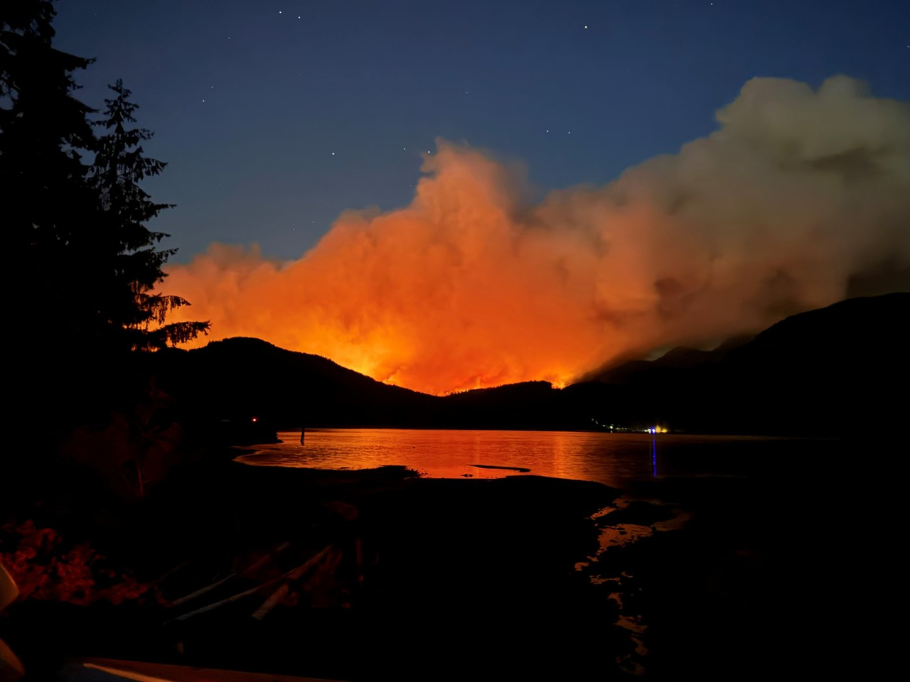 La saison des feux de forêt est jusqu'à présent jugée comme maîtrisable