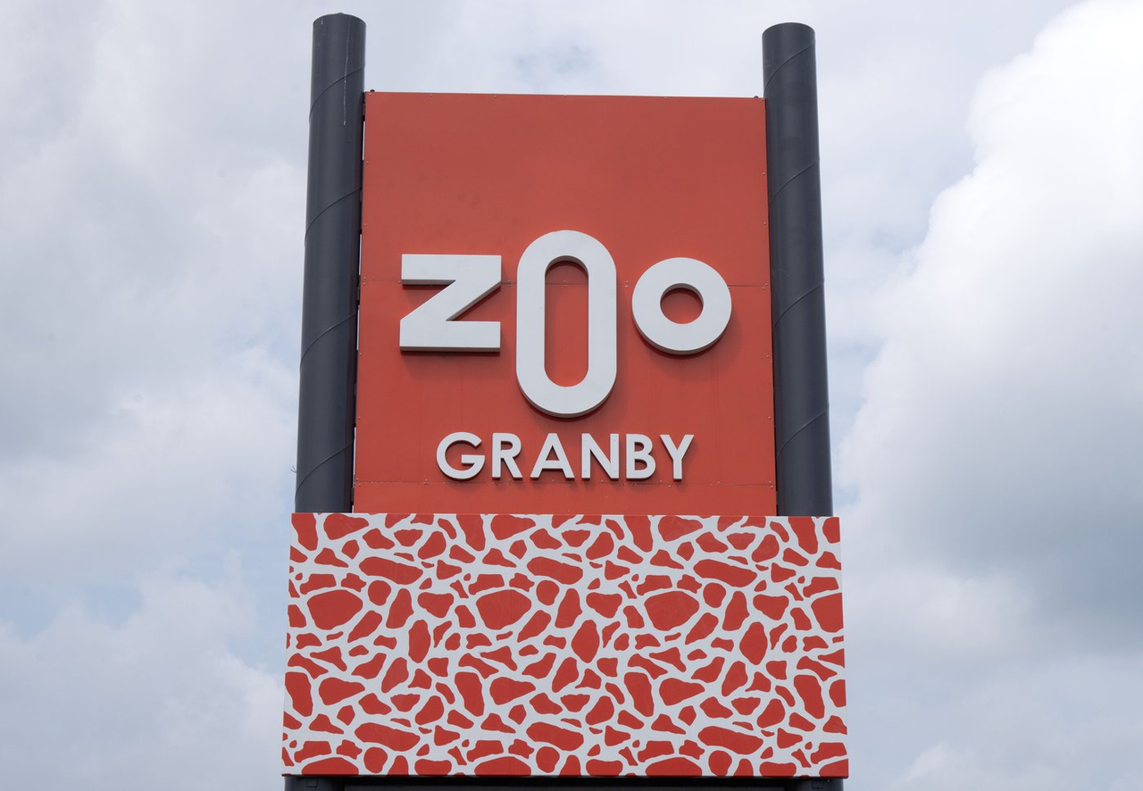 Mise en garde après le contact d'une visiteuse avec un macaque au Zoo de Granby