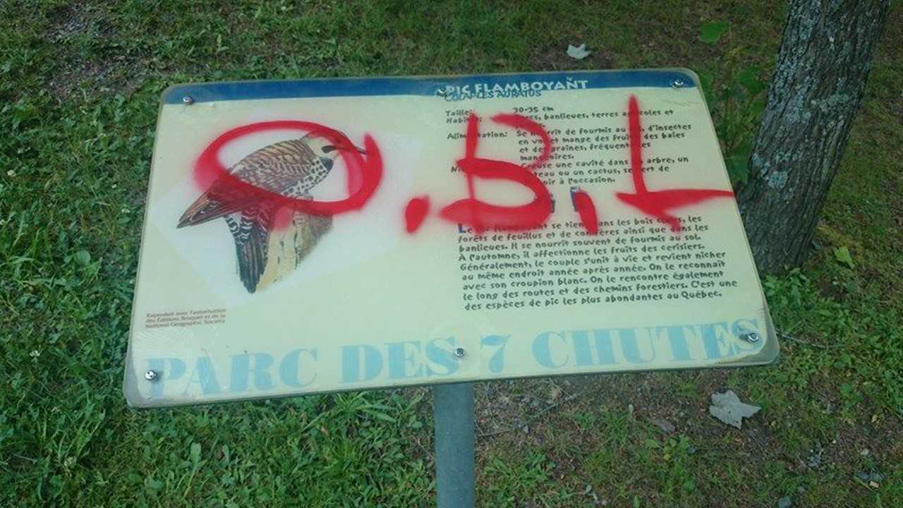 Des vandales s’en donnent à cœur joie à Saint-Georges