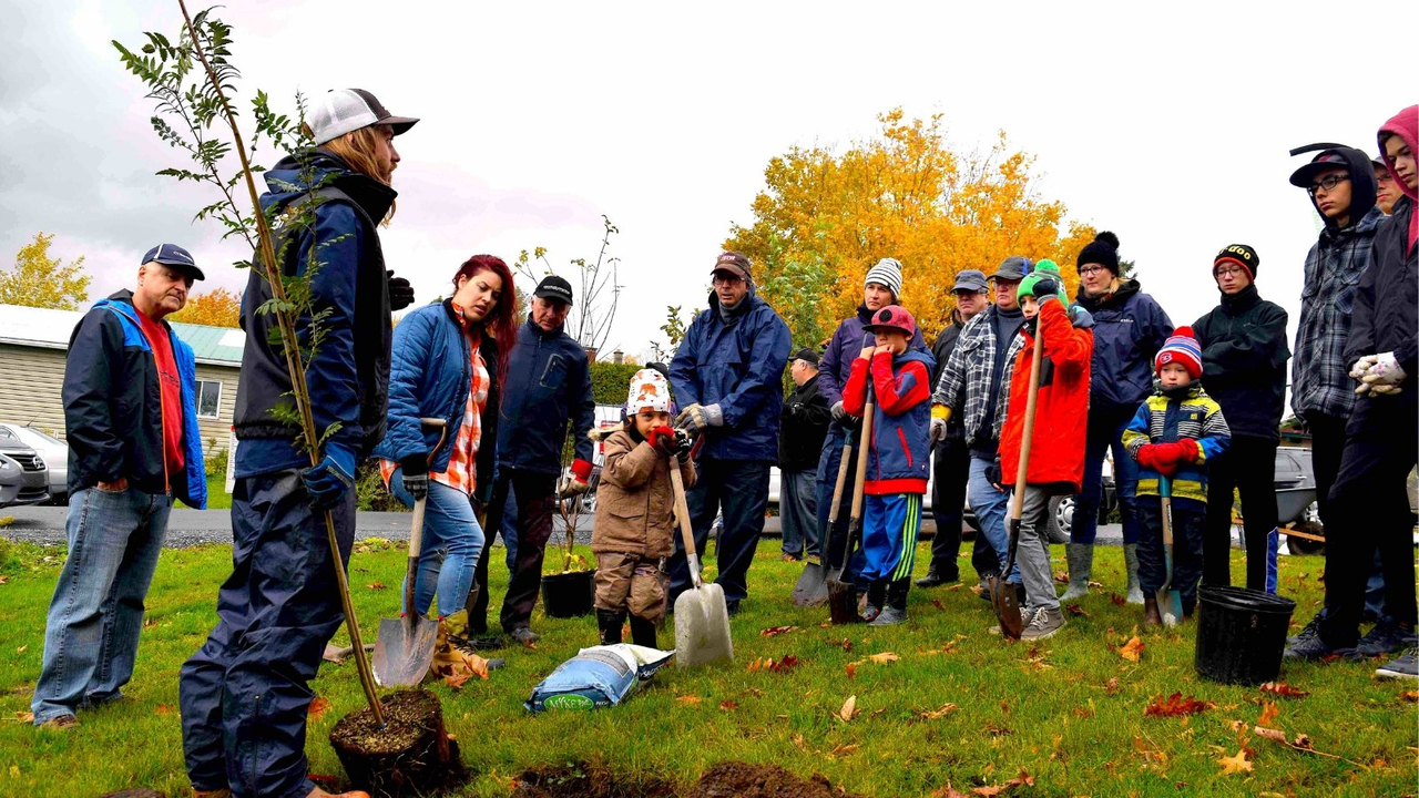 Appel de projets d’Arbre-Évolution : une initiative qui fait rouler l’écologie