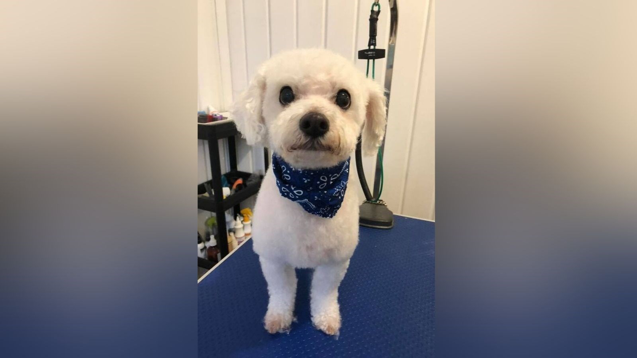 Normand DeLessard présente l'ouverture officielle de la garderie Le chien d'or