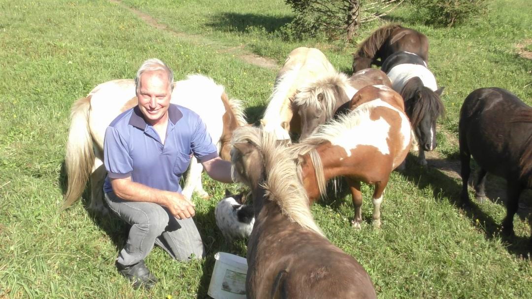 Normand DeLessard présente Guymont Labbé et sa passion pour les chevaux miniature