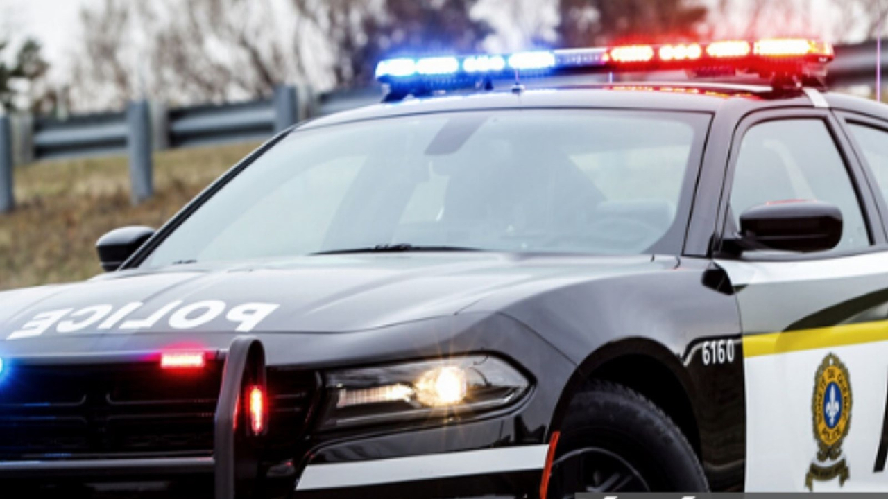 Opération en cours visant un réseau de trafic de stupéfiants