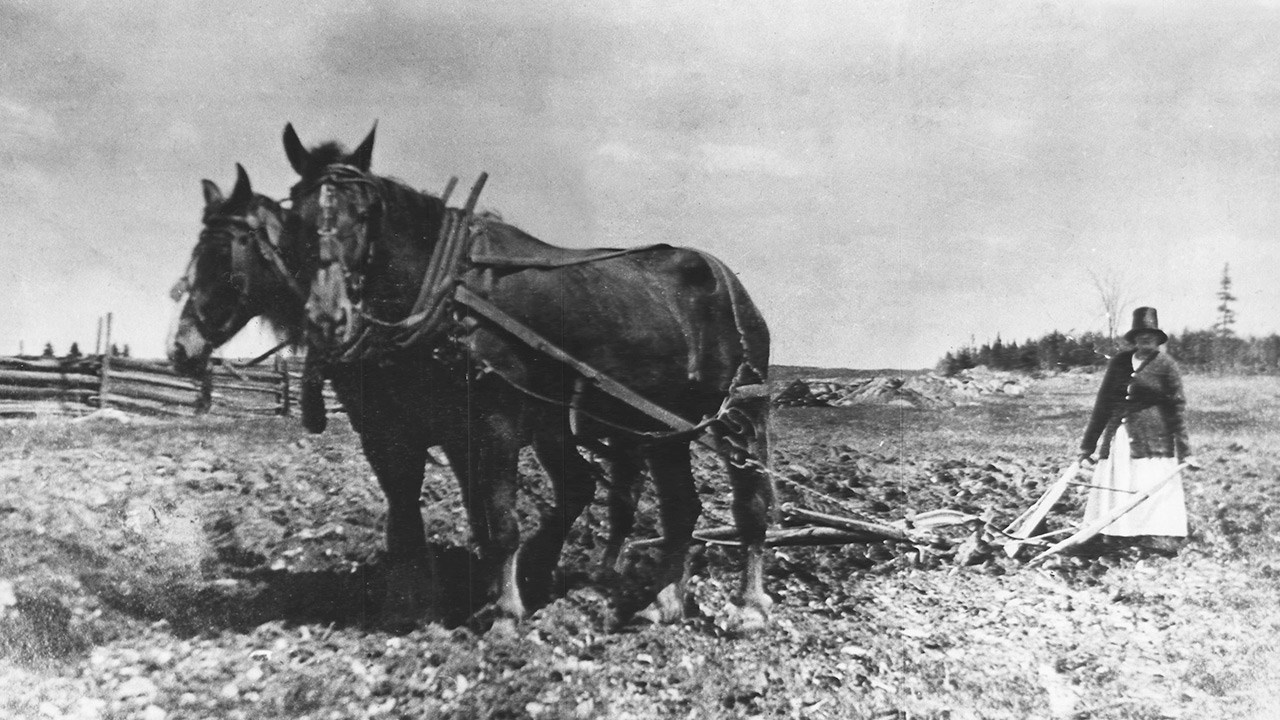 Hommage aux Beauceronnes d’hier et aujourd’hui, ces femmes avant-gardistes