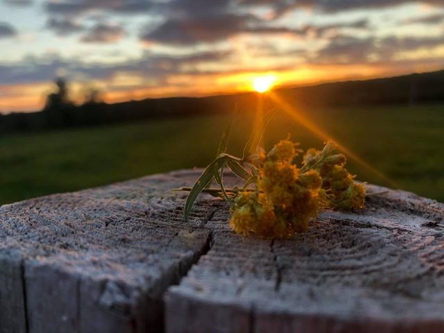 Galerie 7: les plus beaux couchers et levers de soleil en Beauce