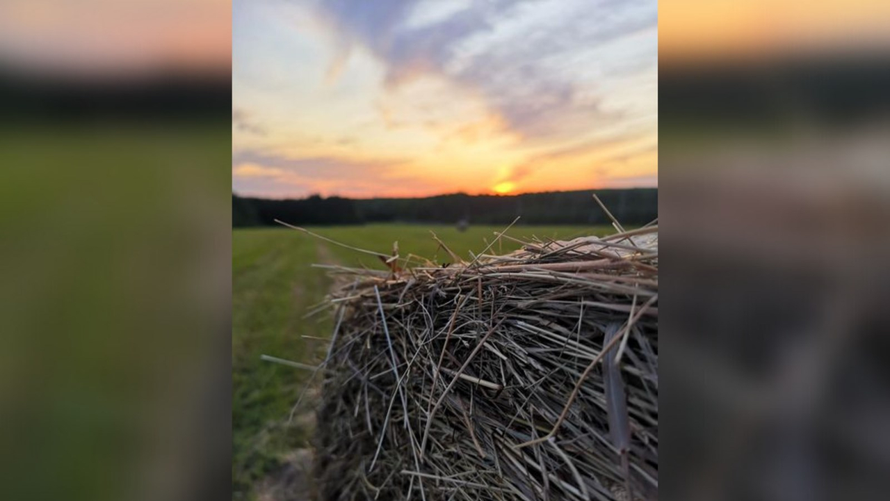 Galerie 7: les plus beaux couchers et levers de soleil en Beauce
