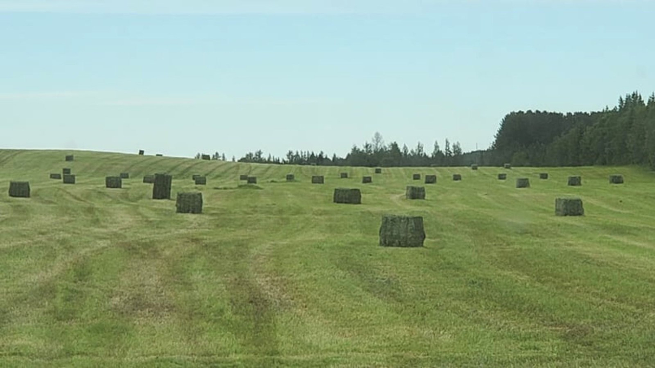 Galerie 1 : l'agriculture, c'est photogénique!