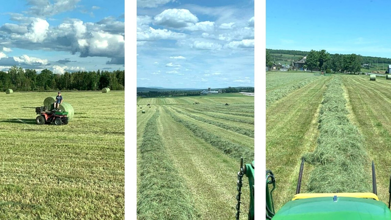 Galerie 1 : l'agriculture, c'est photogénique!