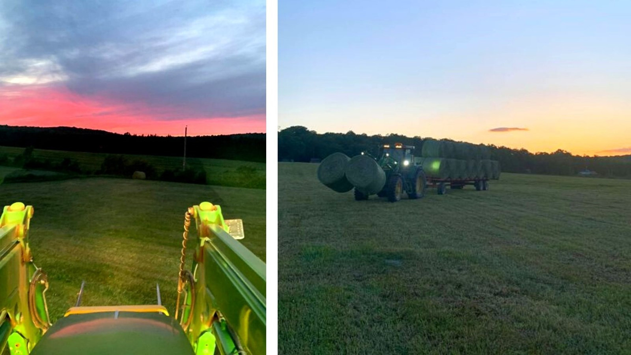 Galerie 1 : l'agriculture, c'est photogénique!