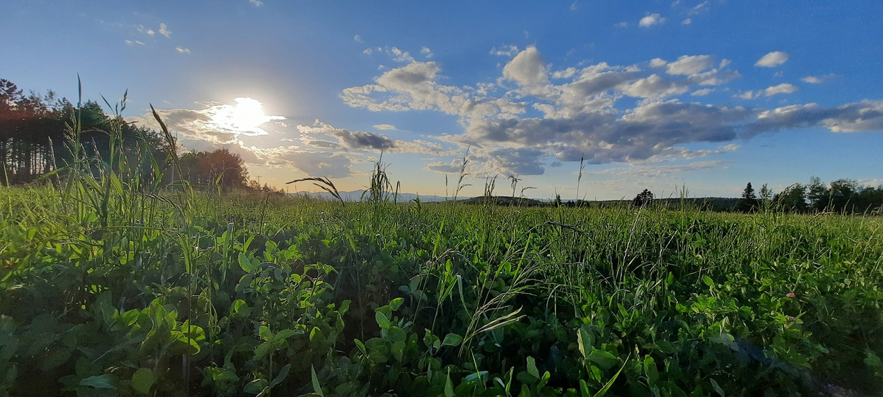 Galerie 1 : l'agriculture, c'est photogénique!