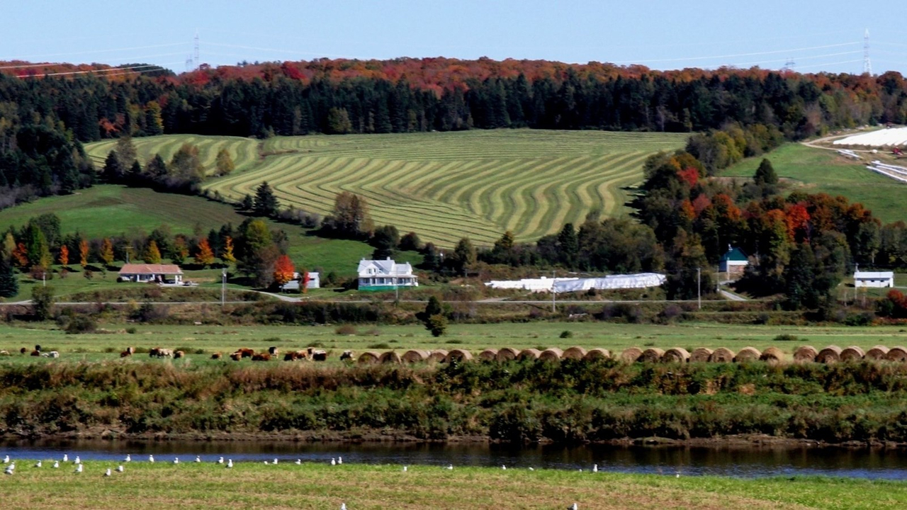 Vallée-Jontion