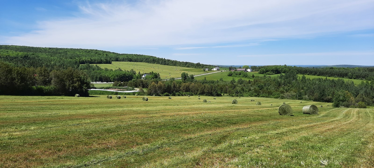 Galerie 1 : l'agriculture, c'est photogénique!