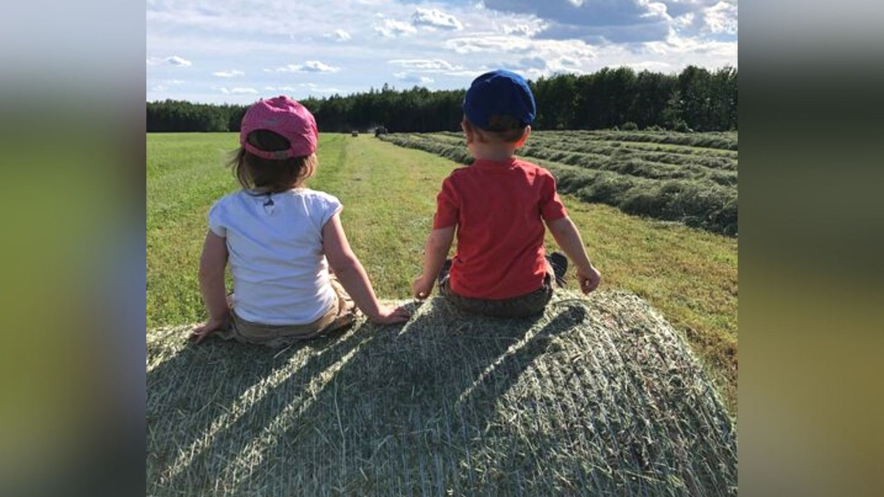 Galerie 2 : l'agriculture, c'est photogénique!