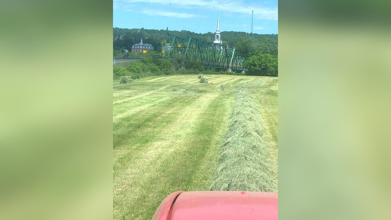 Galerie 2 : l'agriculture, c'est photogénique!