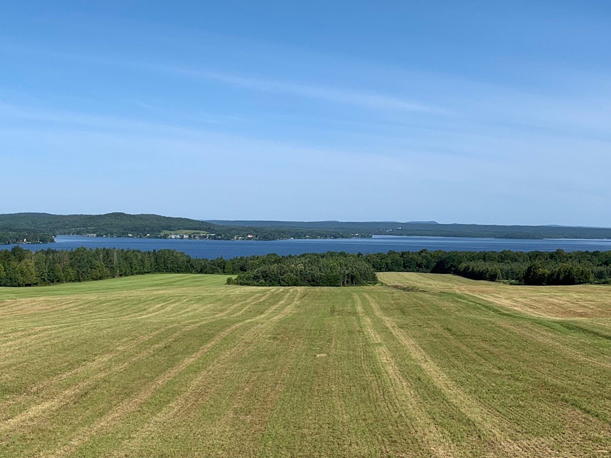 Galerie 2 : l'agriculture, c'est photogénique!