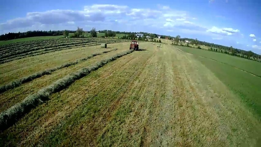 Galerie 2 : l'agriculture, c'est photogénique!