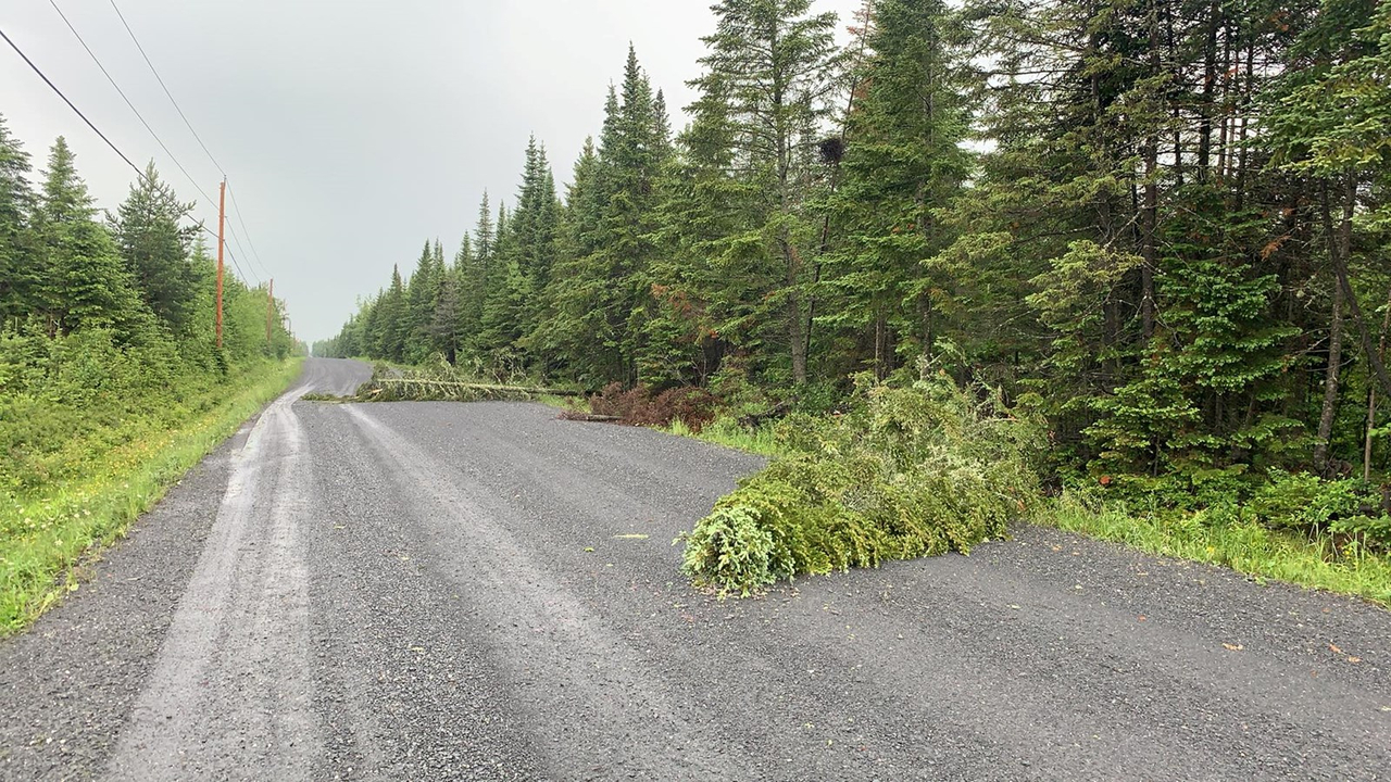 Un violent orage fait tomber les arbres à Saint-Côme-Linière