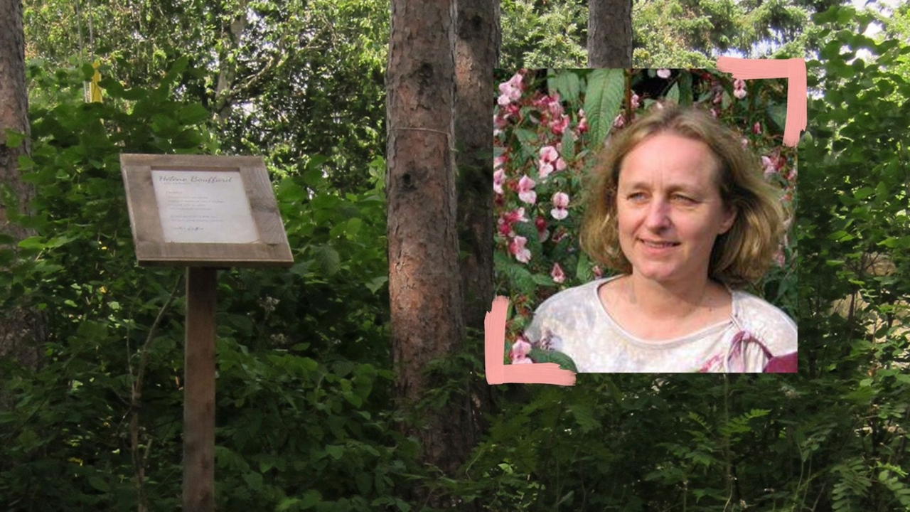 Trois nouveaux auteurs ajoutés dans le sous-bois poétique