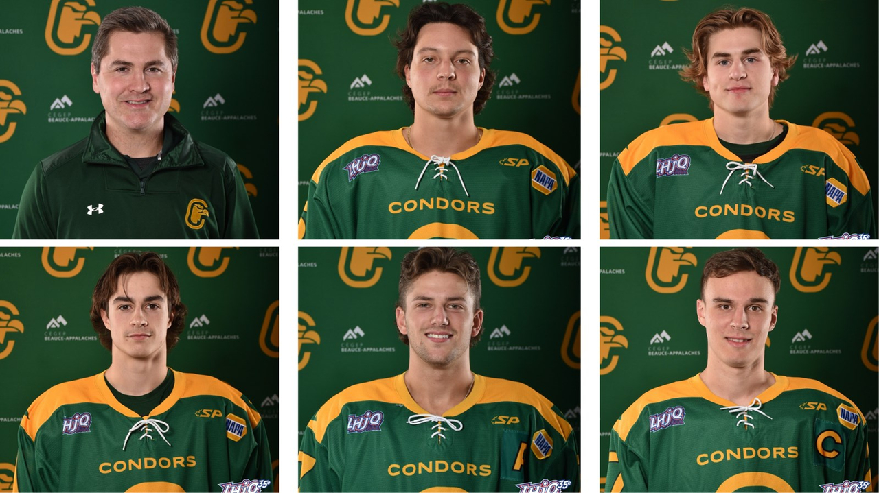 Six Condors en lice pour le 35e Gala Méritas de la LHJAAAQ