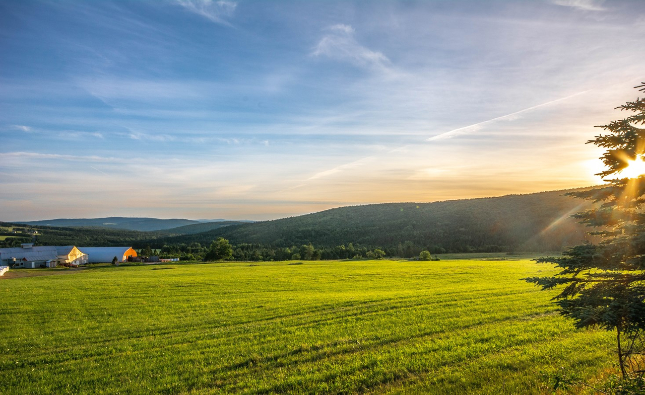 La MRC des Etchemins lance la révision de son plan de développement de la zone agricole